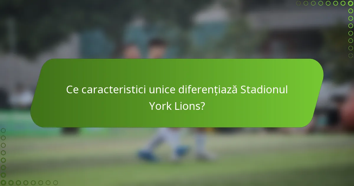 Ce caracteristici unice diferențiază Stadionul York Lions?