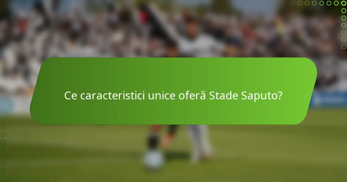 Ce caracteristici unice oferă Stade Saputo?