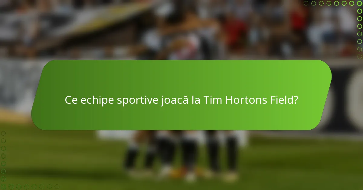 Ce echipe sportive joacă la Tim Hortons Field?
