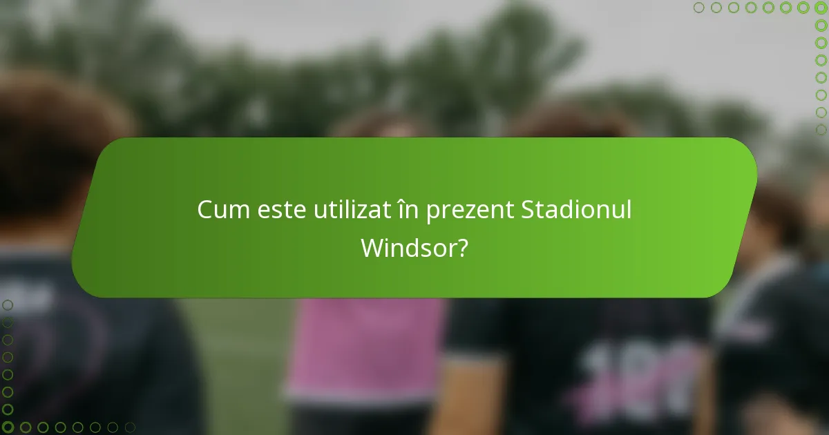 Cum este utilizat în prezent Stadionul Windsor?